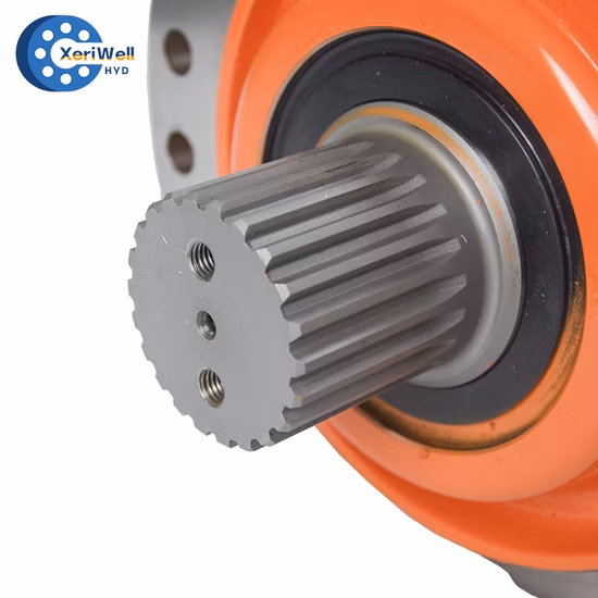 Bmm/Omm Bmr/OMR BMP/Omp Bmh/Omh BMS/Oms Bmt/Omt Bmv/Omv Радиально-поршневое ведущее колесо Масло Орбитальный мини-гидравлический двигатель с Eaton Sauer Danfoss Poclain Intermot